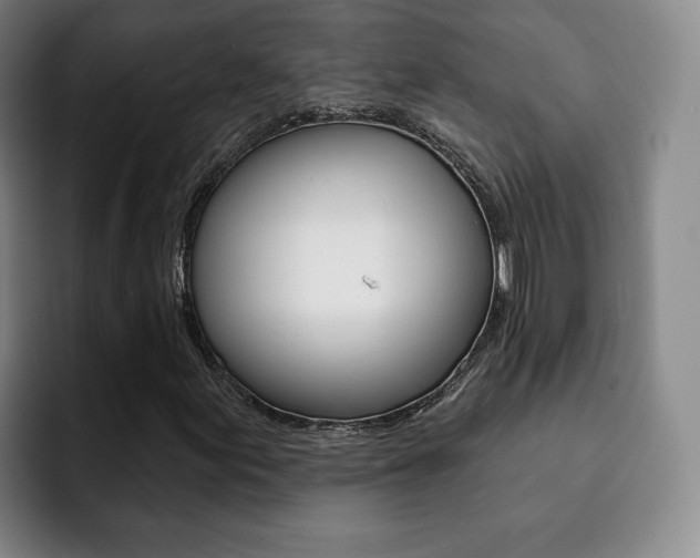 X0000093091155200709260904