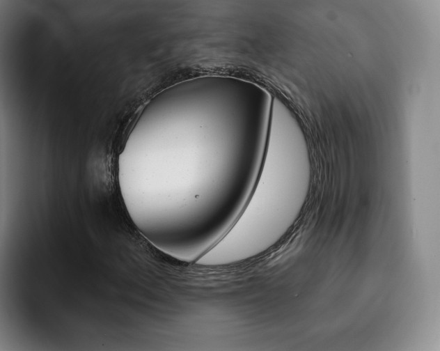 X0000093091156200709260904