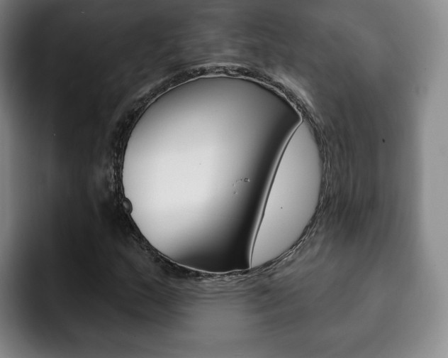 X0000093091159200709260904
