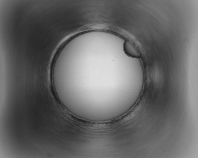 X0000093091174200709260903