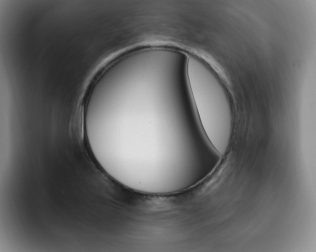 X0000093091175200709260903