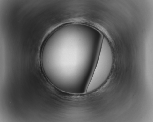 X0000093091176200709260903