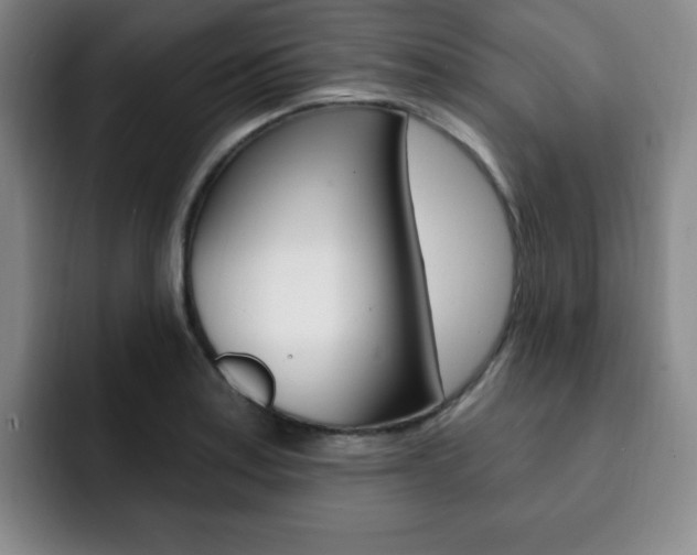 X0000093091179200709260903