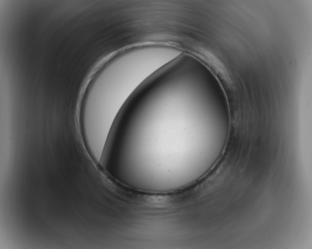 X0000093091180200709260903