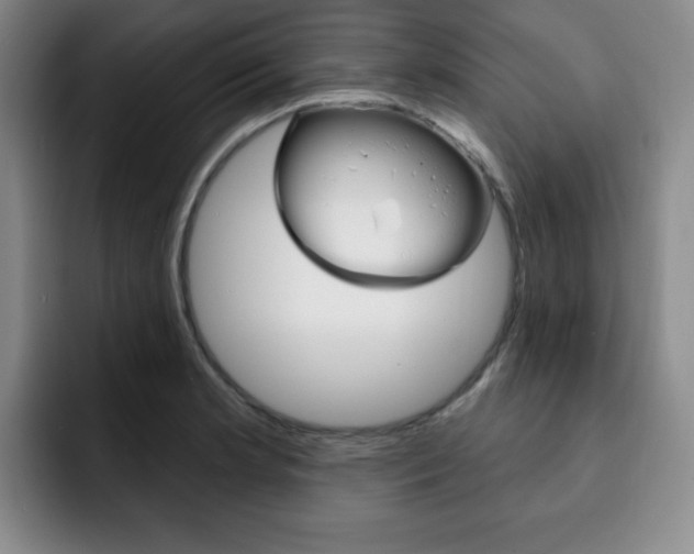 X0000093091181200709260903