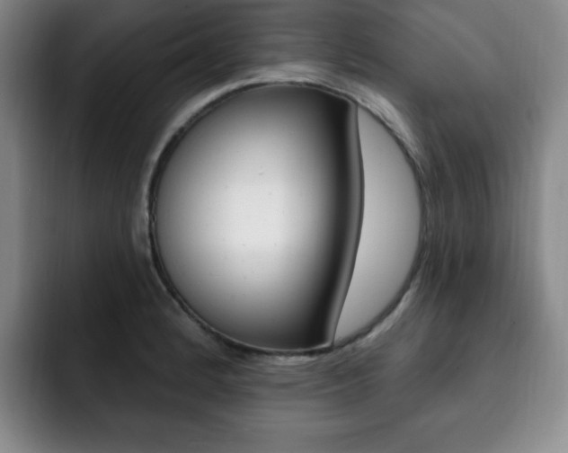 X0000093091184200709260903