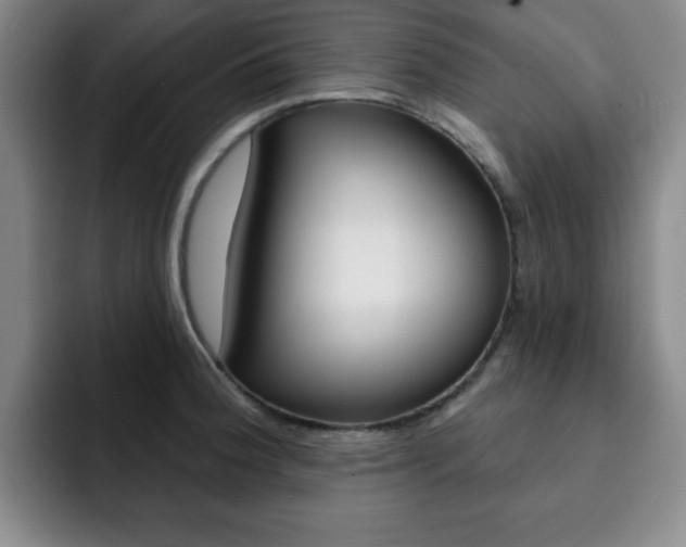 X0000093091188200709260903