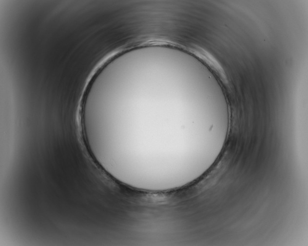 X0000093091190200709260903