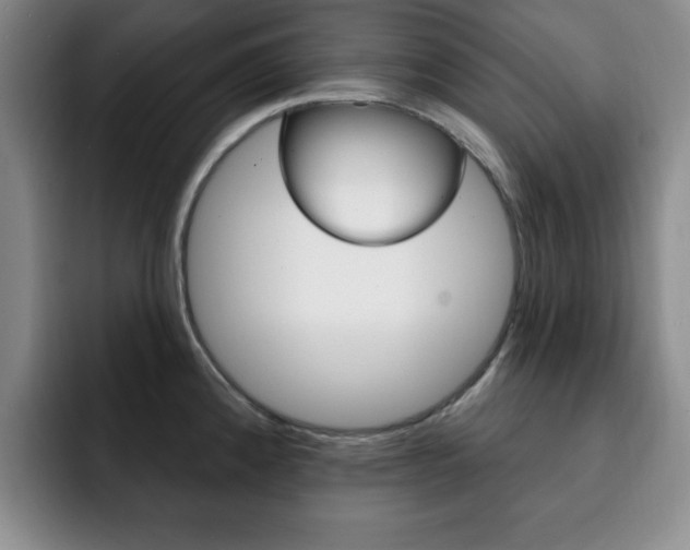 X0000093091192200709260903