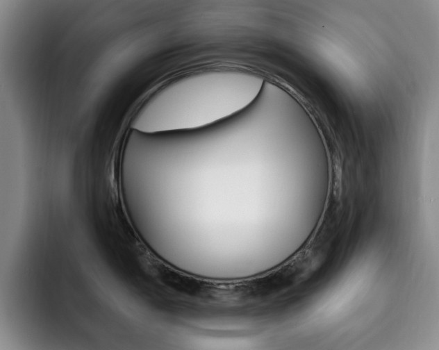 X0000093091198200709260903