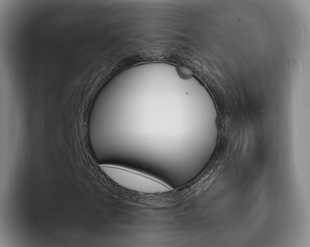 X0000093091201200709260903