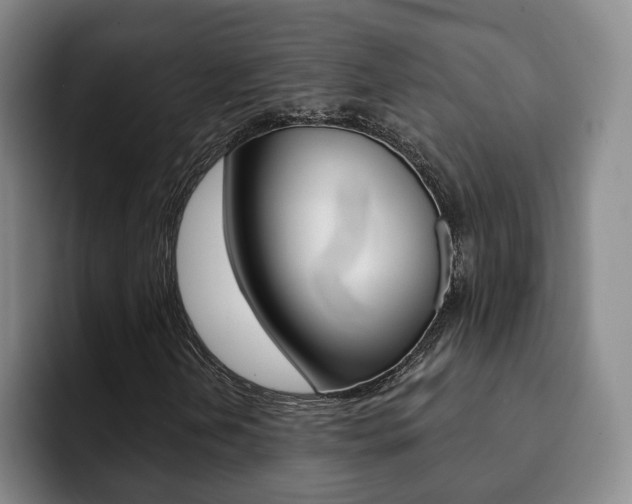 X0000093091202200709260903