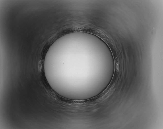 X0000093091204200709260903
