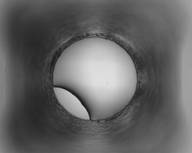 X0000093091207200709260903