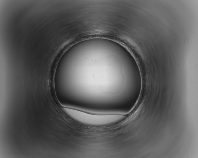 X0000093091210200709260903