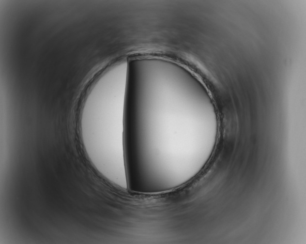 X0000093091213200709260903