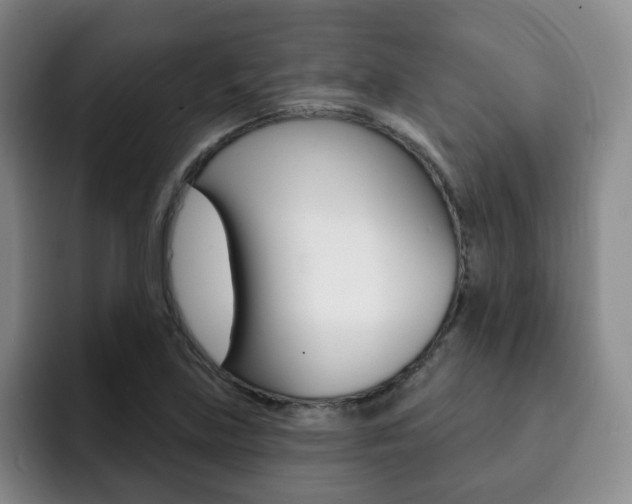 X0000093091219200709260903