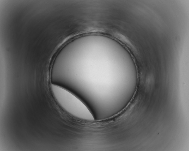 X0000093091220200709260903