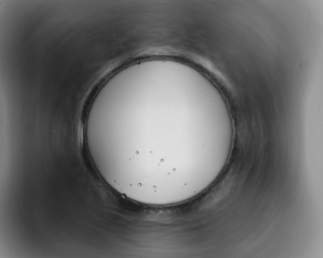 X0000093091221200709260903