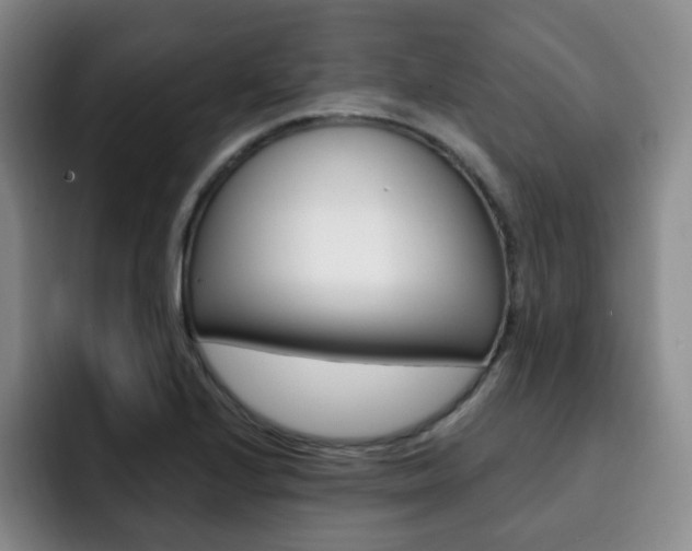 X0000093091224200709260903