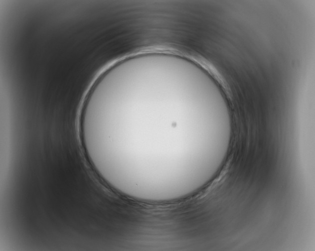 X0000093091230200709260903