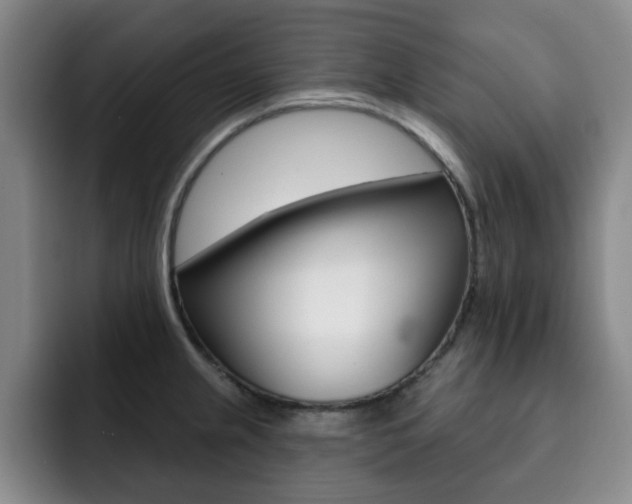 X0000093091237200709260903