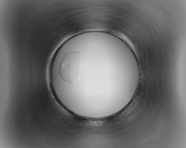 X0000093091243200709260903