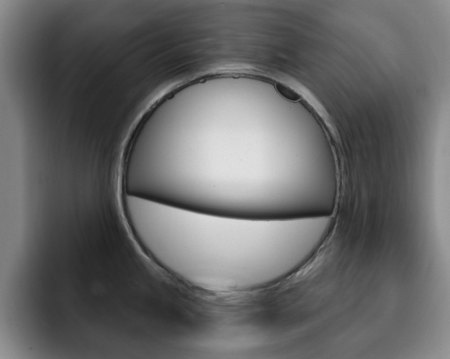X0000093091245200709260903