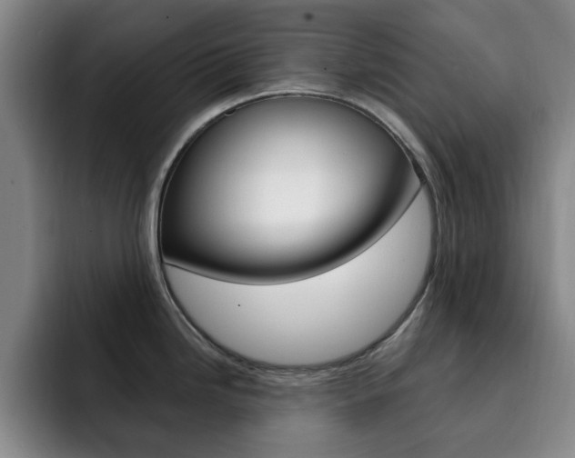 X0000093091246200709260903