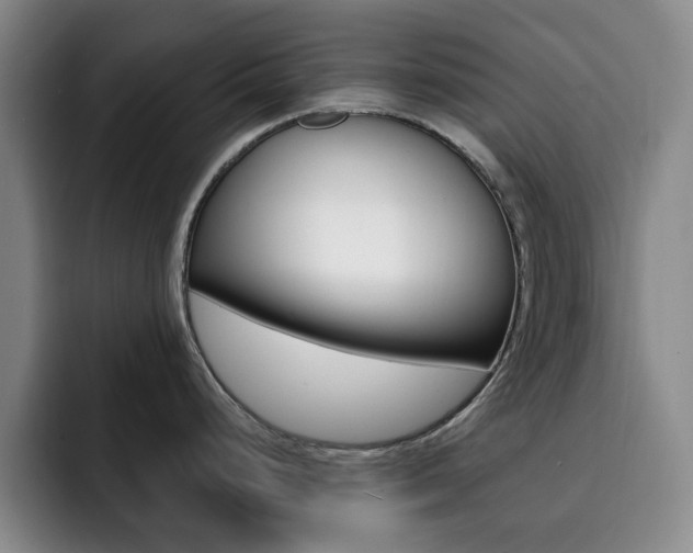 X0000093091248200709260903