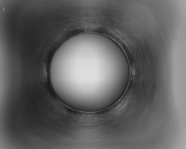 X0000093091252200709260903