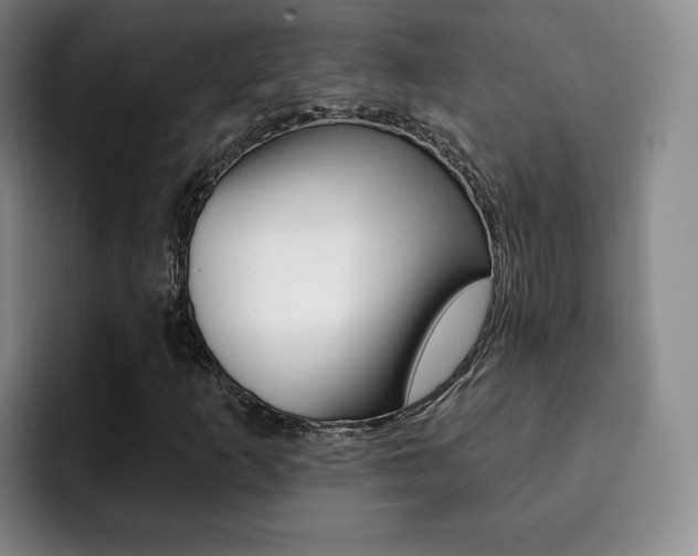 X0000093091253200709260903