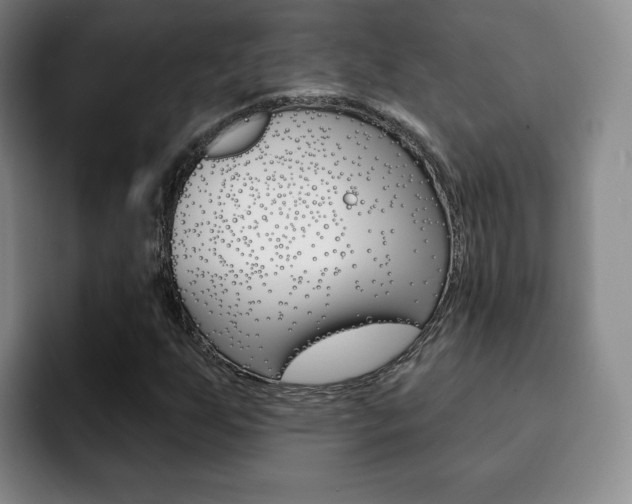 X0000093091255200709260902
