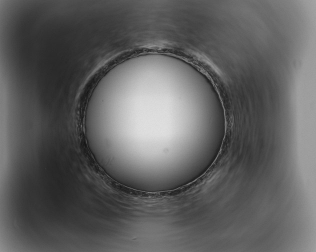 X0000093091256200709260902