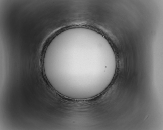 X0000093091262200709260902