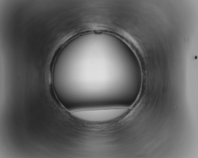 X0000093091269200709260902