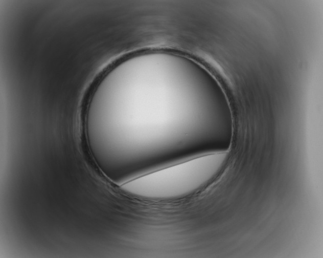 X0000093091270200709260902