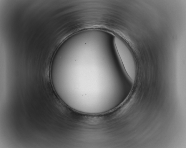 X0000093091273200709260902