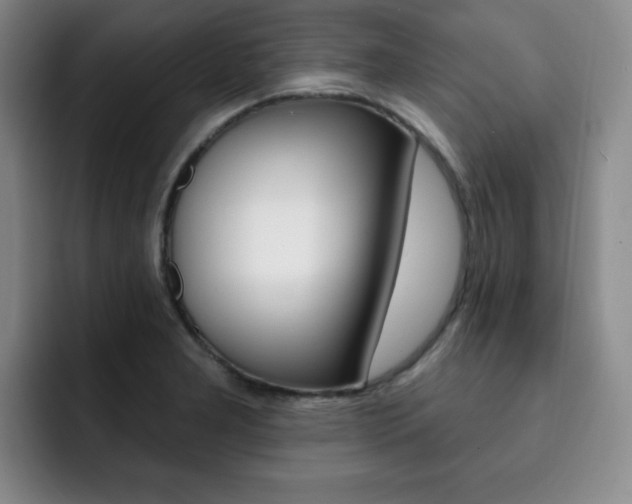 X0000093091277200709260902