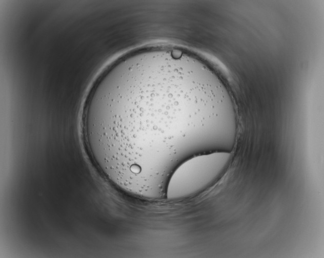 X0000093091279200709260902