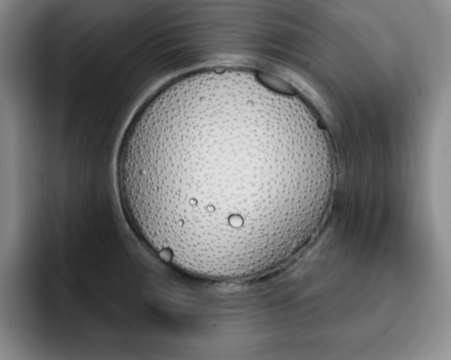 X0000093091283200709260902