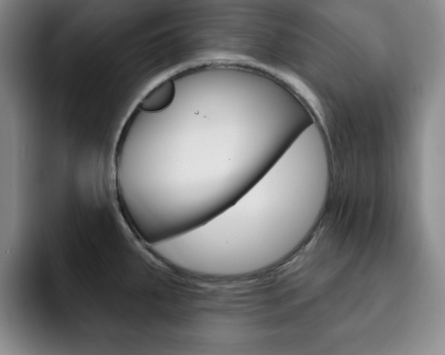 X0000093091287200709260902