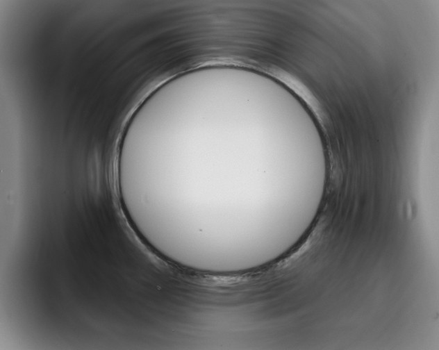 X0000093091290200709260902