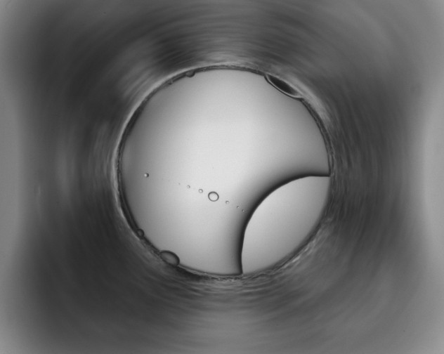 X0000093091291200709260902