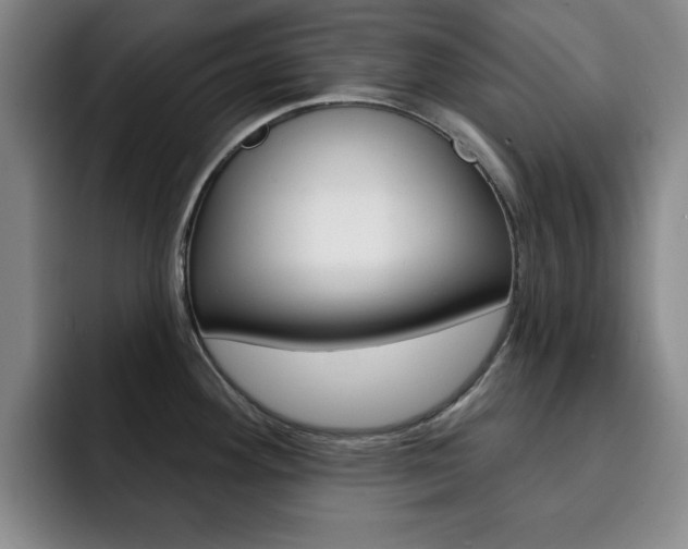 X0000093091292200709260902