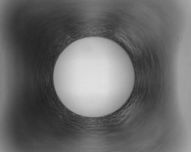 X0000093091298200709260901