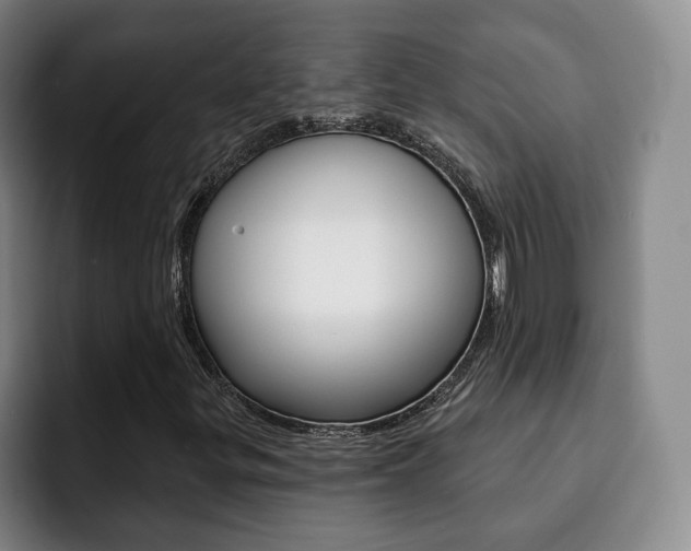X0000093091299200709260901