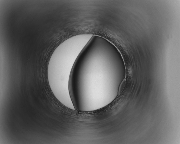 X0000093091300200709260901