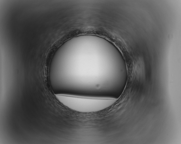 X0000093091301200709260902