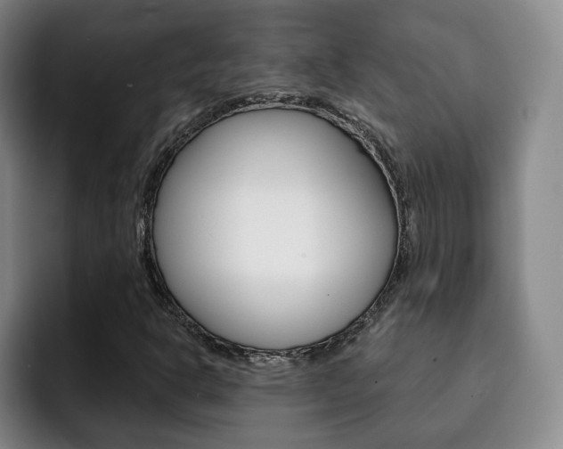 X0000093091302200709260902